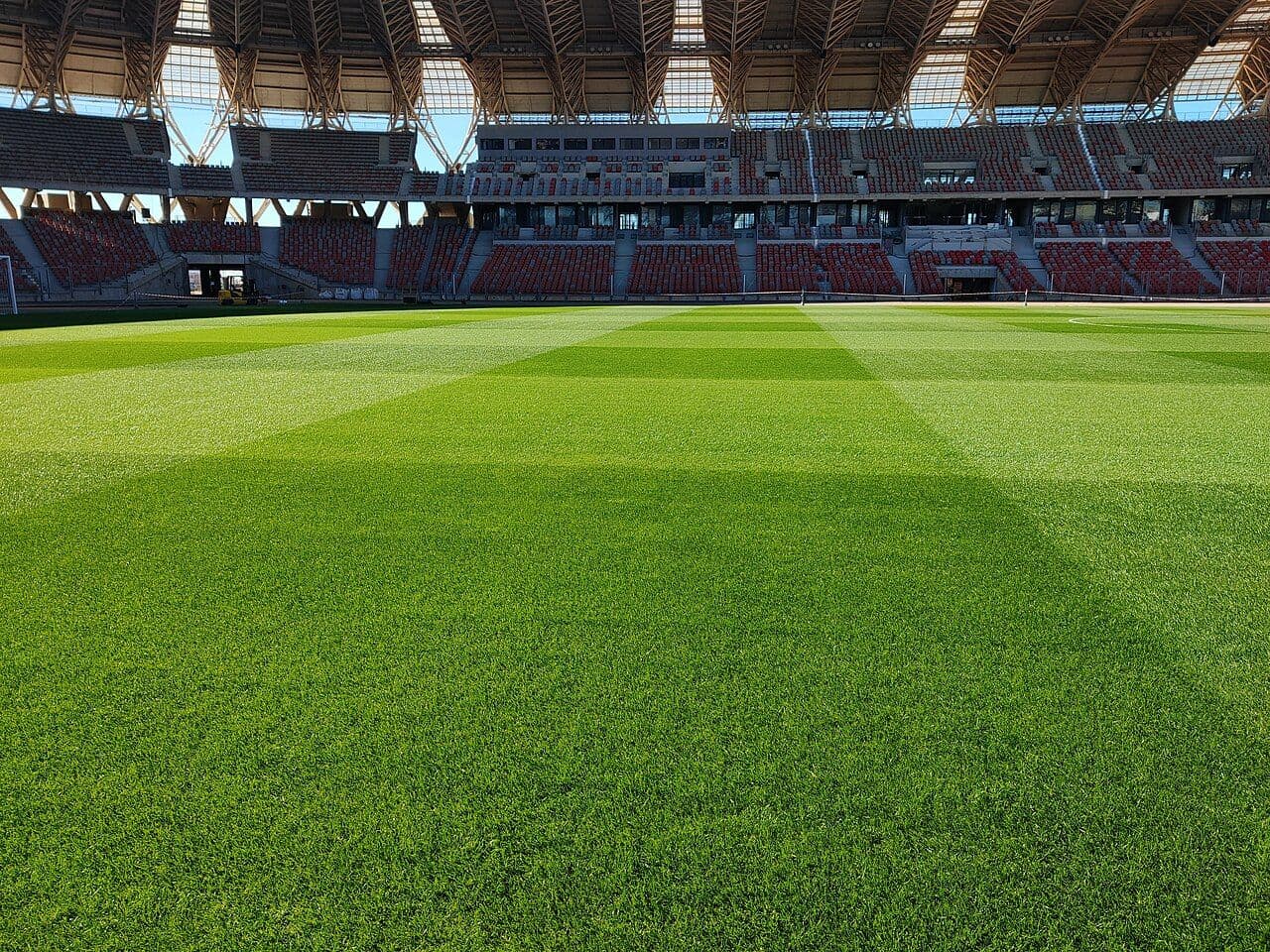 The green pitch and red seats of a modern stadium in Oran